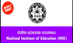 National Institute of Education Special Degree Program in Education 20222025