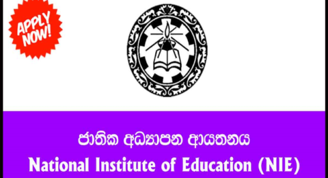 National Institute of Education Special Degree Program in Education 20222025