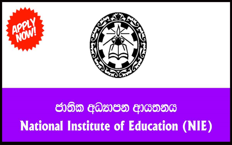 National Institute of Education Special Degree Program in Education 20222025